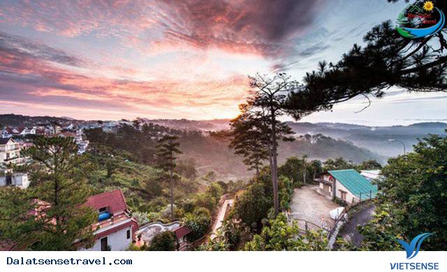 Nhà cắm trại YOLO Nhà cắm trại YOLO