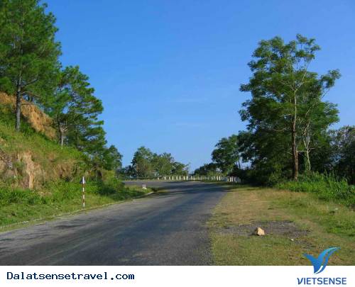 Những Con Đèo Nổi Tiếng Của Đà Lạt - Ảnh 3 Những Con Đèo Nổi Tiếng Của Đà Lạt - Ảnh 3