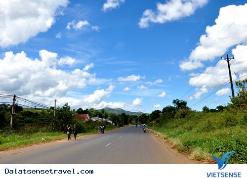 Những Con Đèo Nổi Tiếng Của Đà Lạt - Ảnh 1 Những Con Đèo Nổi Tiếng Của Đà Lạt - Ảnh 1