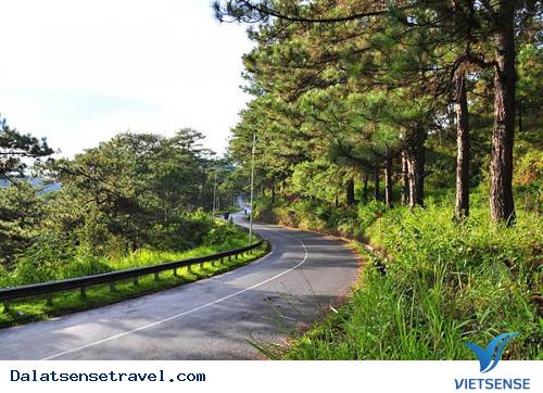 Những Con Đèo Nổi Tiếng Của Đà Lạt - Ảnh 4 Những Con Đèo Nổi Tiếng Của Đà Lạt - Ảnh 4