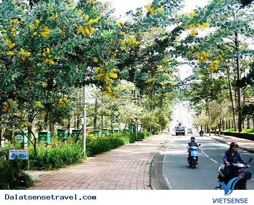 Những Con Đèo Nổi Tiếng Của Đà Lạt - Ảnh 2 Những Con Đèo Nổi Tiếng Của Đà Lạt - Ảnh 2