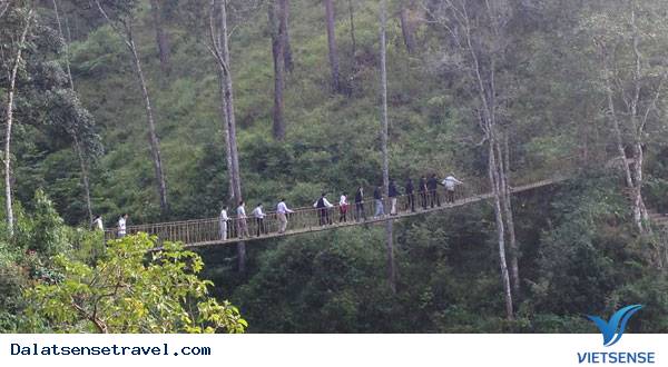 Những Điều Kỳ Thú Ở Làng Cù Lần Đà lạt - Ảnh 2 Những Điều Kỳ Thú Ở Làng Cù Lần Đà lạt - Ảnh 2