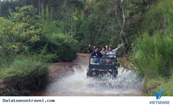 Những Điều Kỳ Thú Ở Làng Cù Lần Đà lạt - Ảnh 3 Những Điều Kỳ Thú Ở Làng Cù Lần Đà lạt - Ảnh 3