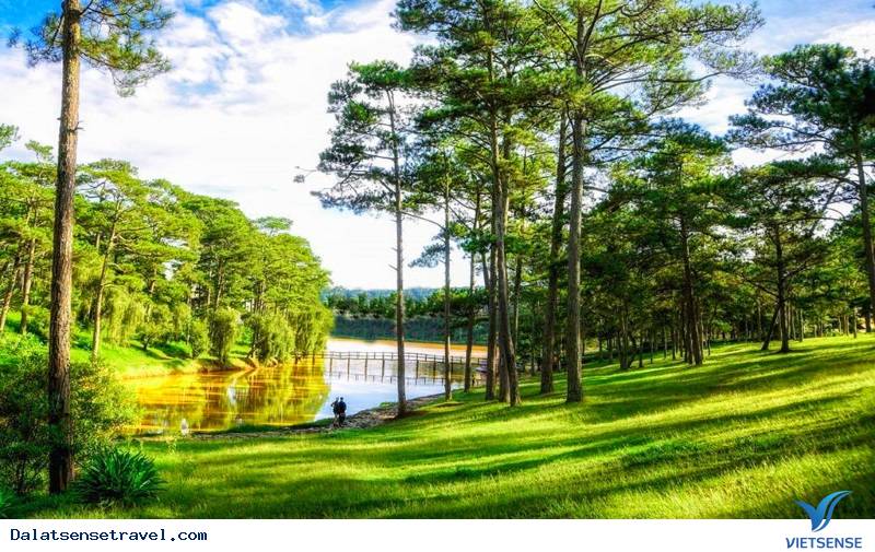 Tên hồ Xuân Hương tại Đà Lạt do ai đặt tên? - Ảnh 4 Tên hồ Xuân Hương tại Đà Lạt do ai đặt tên? - Ảnh 4