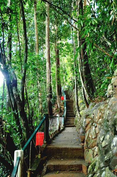 Thác Dambri Đà Lạt - Ảnh 2 Thác Dambri Đà Lạt - Ảnh 2