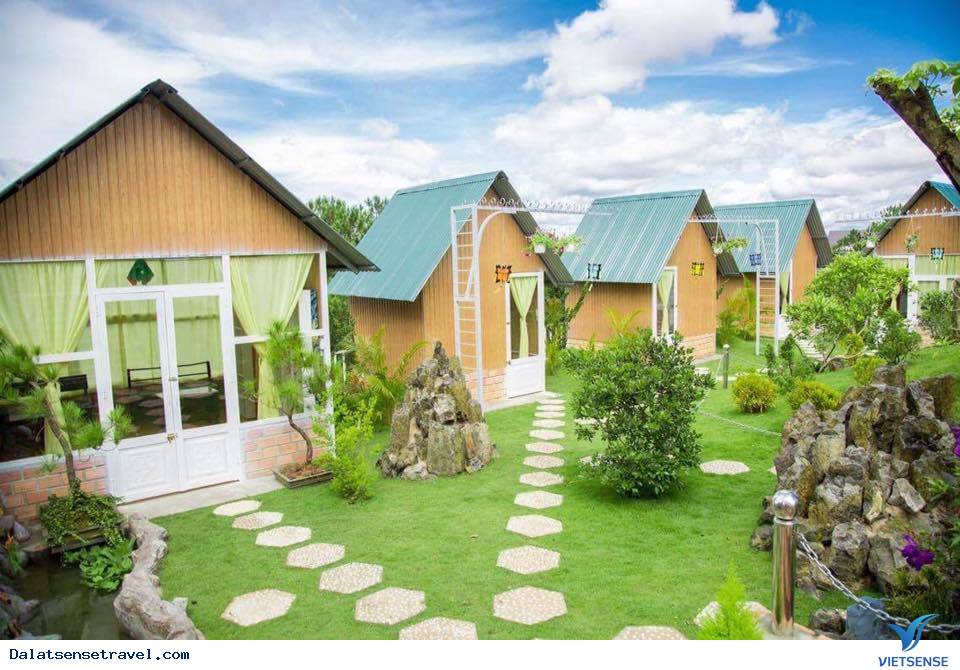 Windy Hill Coffee & Homestay Windy Hill Coffee & Homestay